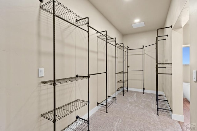 332 Yellow Bird Rd, Rye, CO 81069 - spacious closet with carpet flooring