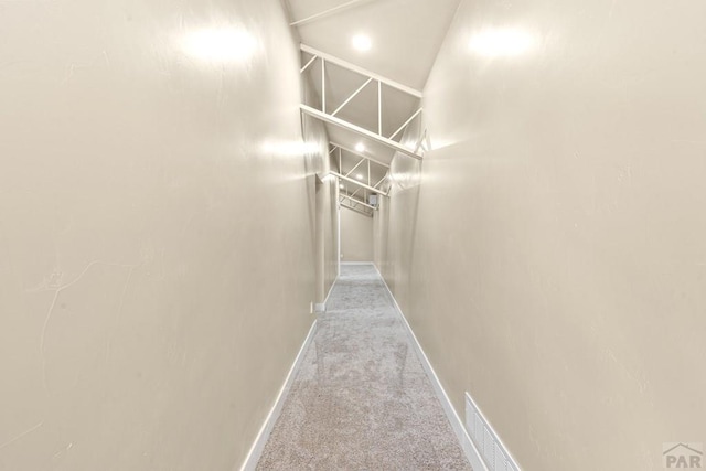 332 Yellow Bird Rd, Rye, CO 81069 - hallway with carpet floors and baseboards