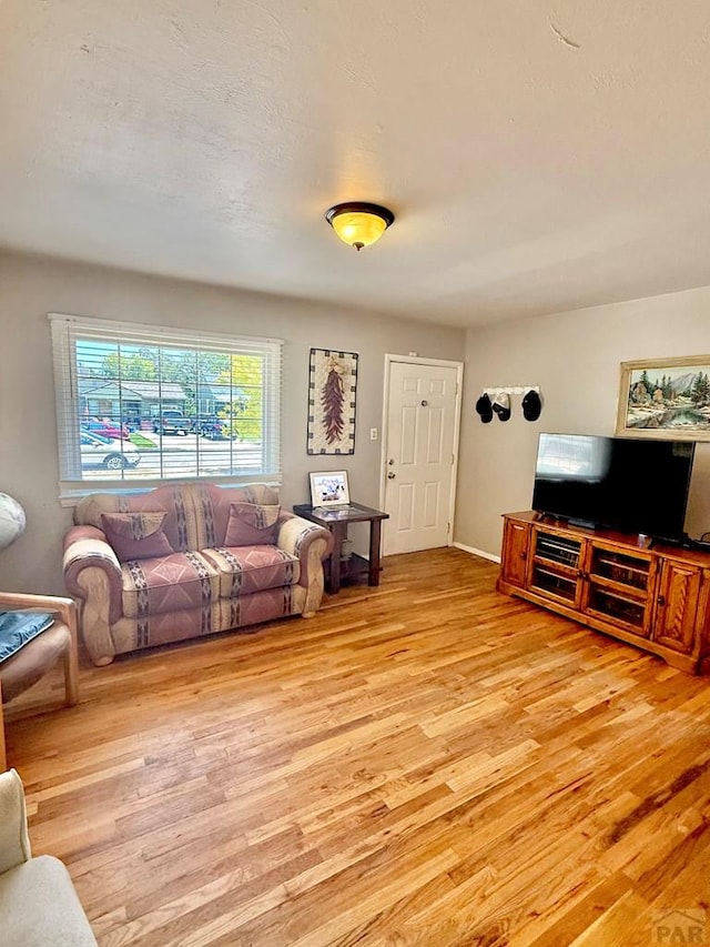 629 Gaylord Ave, Pueblo, CO 81004 - living area with light wood finished floors