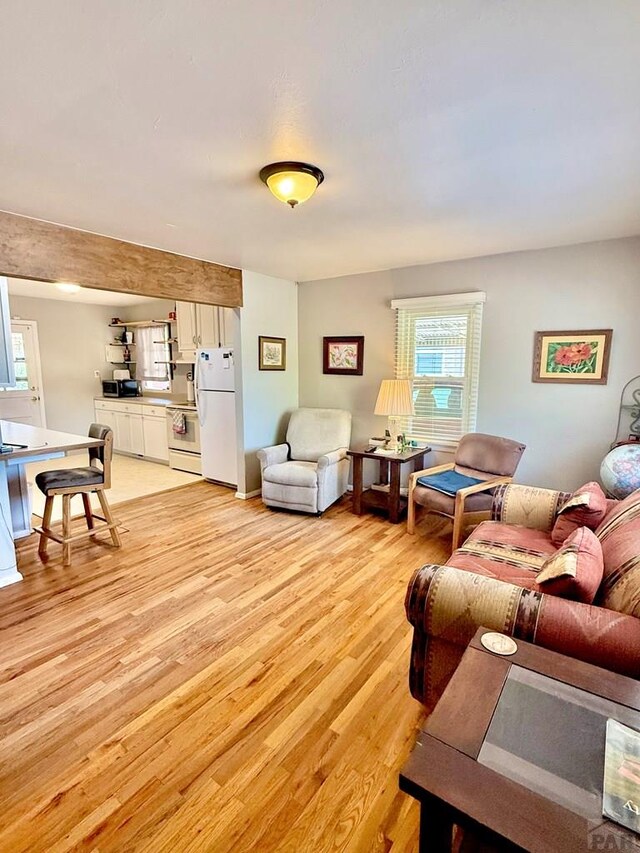 629 Gaylord Ave, Pueblo, CO 81004 - living room featuring light wood-type flooring