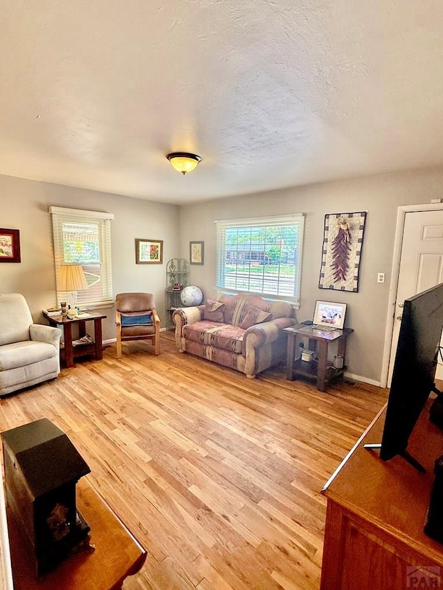 629 Gaylord Ave, Pueblo, CO 81004 - living area featuring light wood-style flooring and baseboards