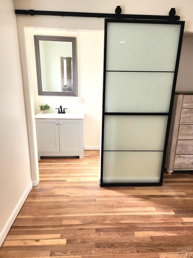 closet featuring a sink