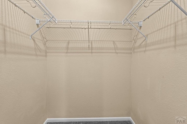 1329 Silver Hawk Ct, Pueblo, CO 81008 - view of spacious closet