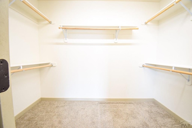 1781 N Billy The Kid Ln, Pueblo, CO 81007 - walk in closet featuring carpet flooring