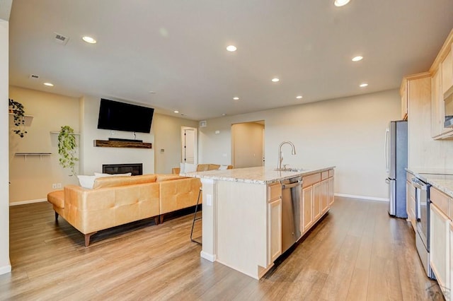 kitchen with a glass covered fireplace, light wood-style flooring, stainless steel appliances, a sink, and recessed lighting