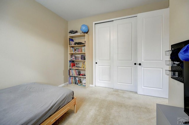 bedroom featuring carpet and a closet