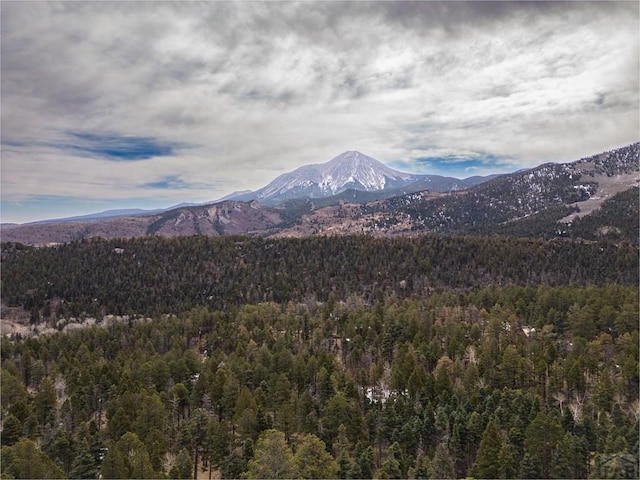 109 County Rd 405, Cuchara, CO 81055 - mountain view featuring a heavily wooded area