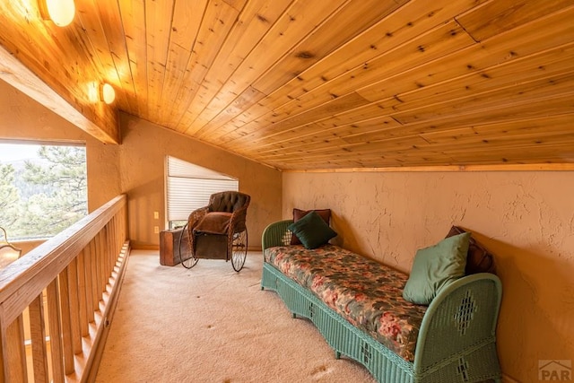 109 County Rd 405, Cuchara, CO 81055 - bedroom with carpet flooring and wood ceiling