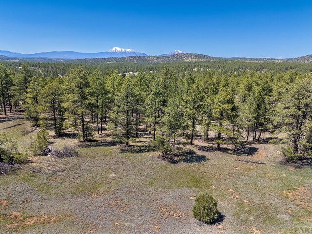 13583 Meadow Lark Dr, Weston, CO 81091 - photo 11