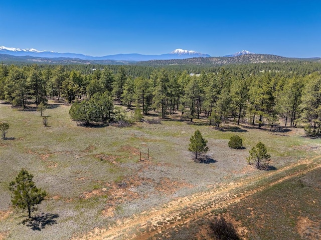 13583 Meadow Lark Dr, Weston, CO 81091 - photo 1