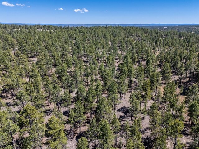 13583 Meadow Lark Dr, Weston, CO 81091 - photo 15