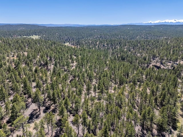 13583 Meadow Lark Dr, Weston, CO 81091 - photo 13