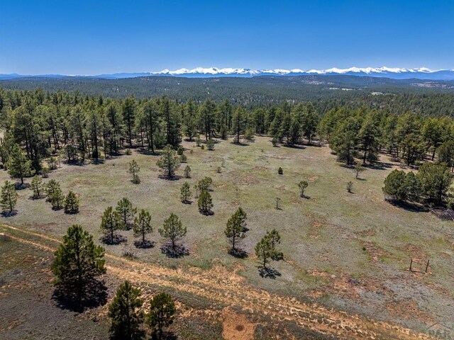13583 Meadow Lark Dr, Weston, CO 81091 - photo 3