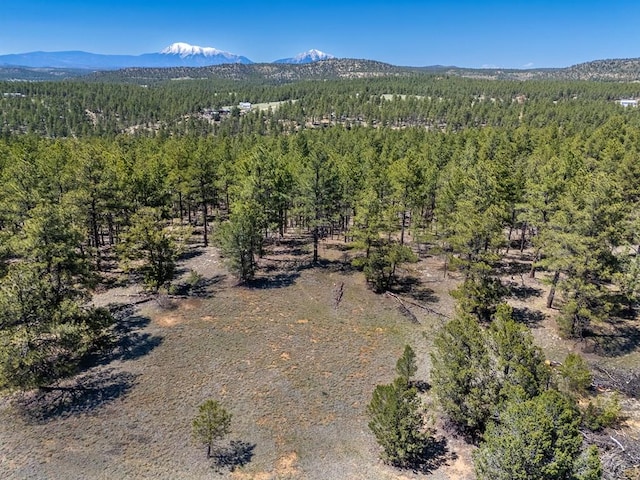13583 Meadow Lark Dr, Weston, CO 81091 - photo 8