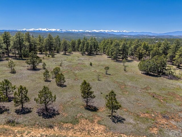 13583 Meadow Lark Dr, Weston, CO 81091 - photo 7