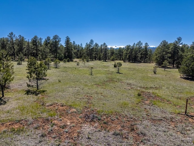 13583 Meadow Lark Dr, Weston, CO 81091 - photo 5