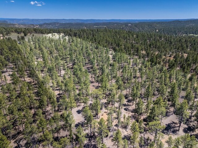 13583 Meadow Lark Dr, Weston, CO 81091 - photo 12