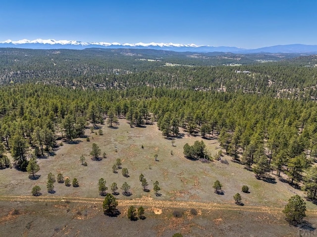 13583 Meadow Lark Dr, Weston, CO 81091 - photo 9