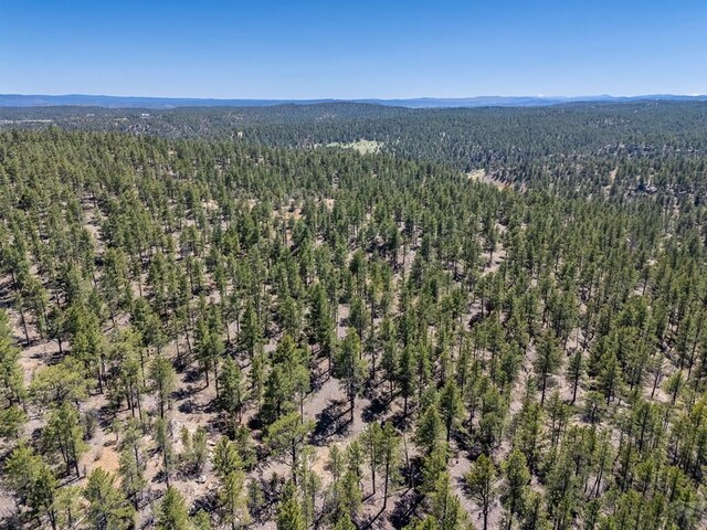 13583 Meadow Lark Dr, Weston, CO 81091 - photo 14
