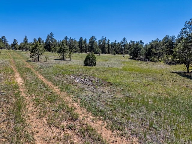 13583 Meadow Lark Dr, Weston, CO 81091 - photo 2
