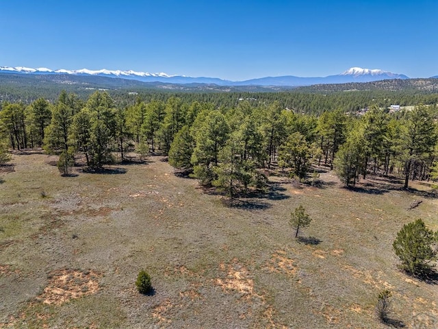 13583 Meadow Lark Dr, Weston, CO 81091 - photo 6