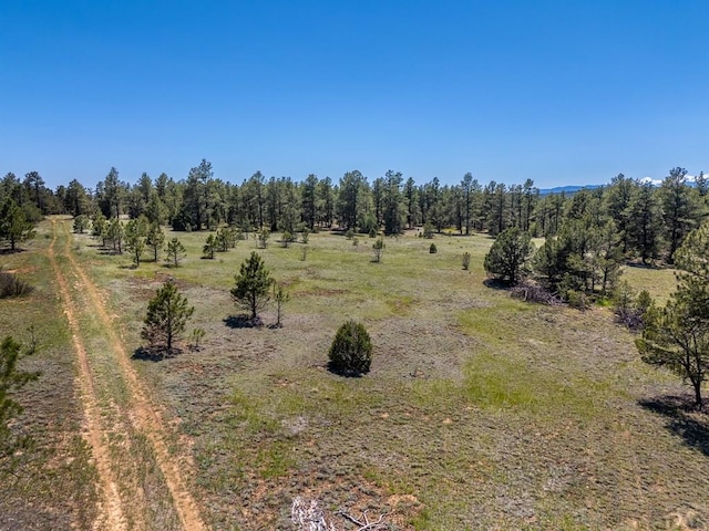 13583 Meadow Lark Dr, Weston, CO 81091 - photo 4