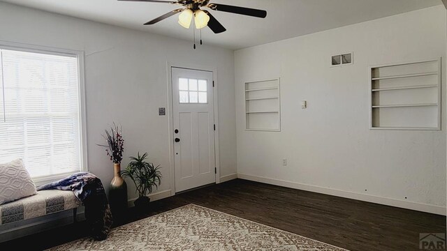 entrance foyer with a wealth of natural light, baseboards, and dark wood-type flooring