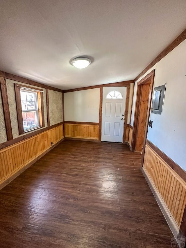 foyer featuring dark wood-style floors, wood walls, and wainscoting