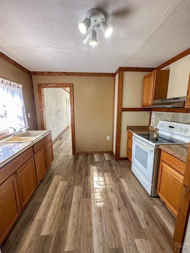 kitchen with electric stove, brown cabinets, under cabinet range hood, and wood finished floors