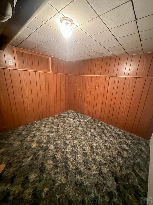 finished below grade area with carpet floors, wood walls, and a paneled ceiling