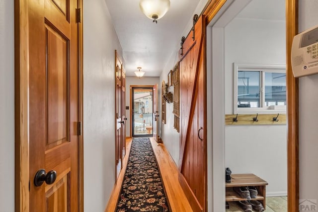 hallway featuring a wealth of natural light, light wood-style flooring, and a barn door