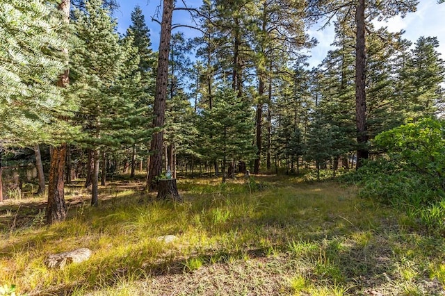 view of nature with a view of trees