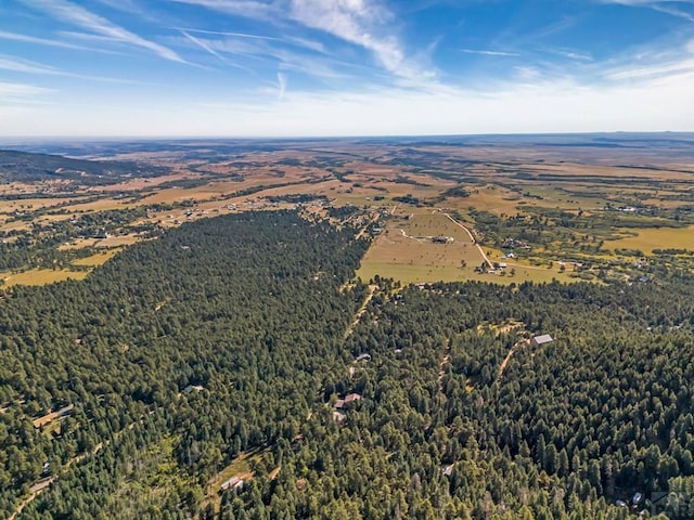 bird's eye view with a wooded view