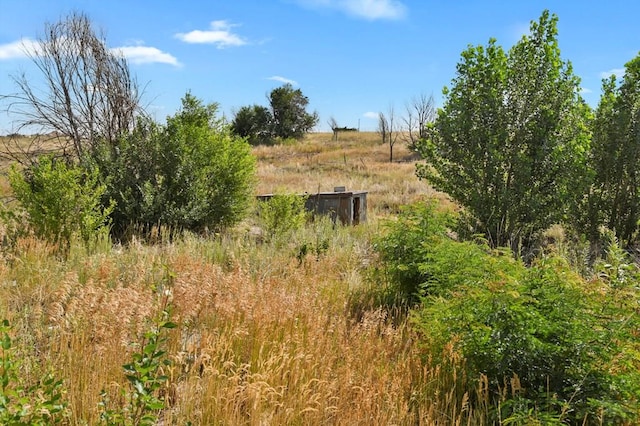 8420 Mustang Rd, Colorado Springs, CO 80908