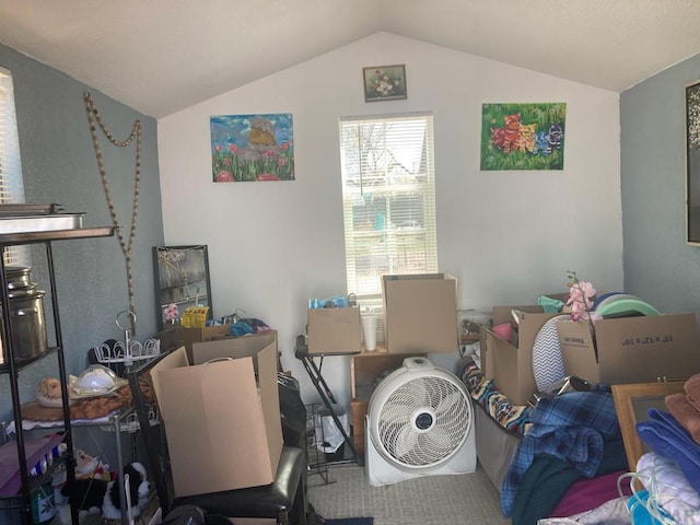 interior space featuring lofted ceiling
