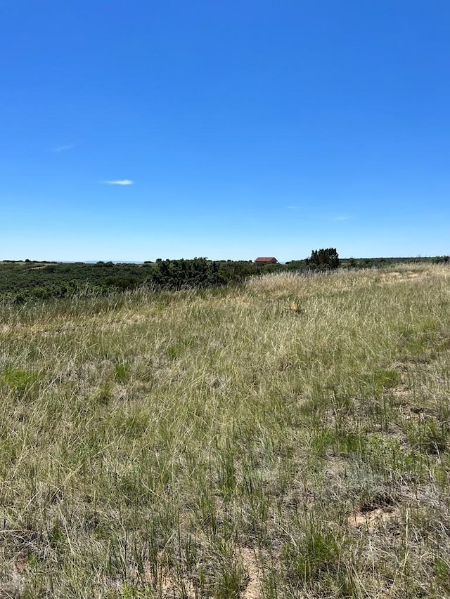 Listing photo 2 for LOT202 Silverton Dr, Colorado City CO 81019