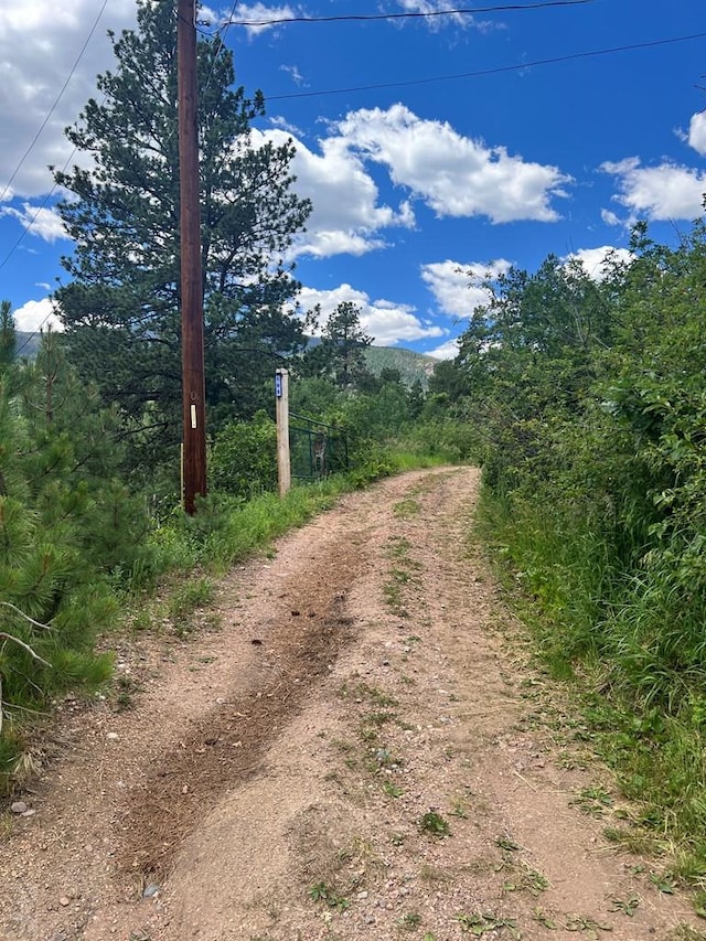 105 St Charles Ave, Rye, CO 81069 - photo 34
