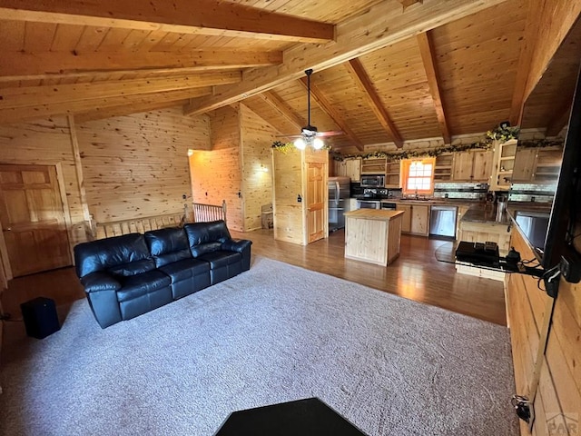 105 St Charles Ave, Rye, CO 81069 - photo 3