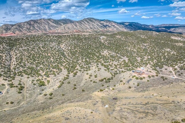 1955 York Ave, Canon City, CO 81212 - photo 46