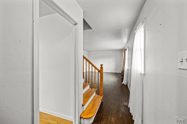 1521 Lexington Rd, Pueblo, CO 81001 - photo 4