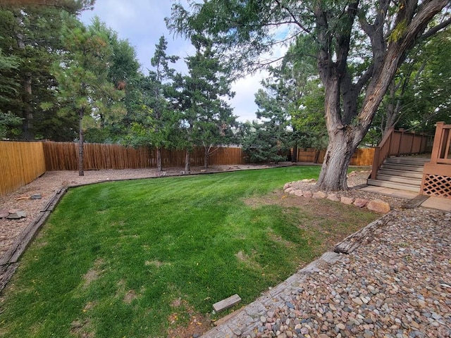 view of yard with a fenced backyard