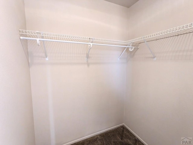 spacious closet featuring dark colored carpet
