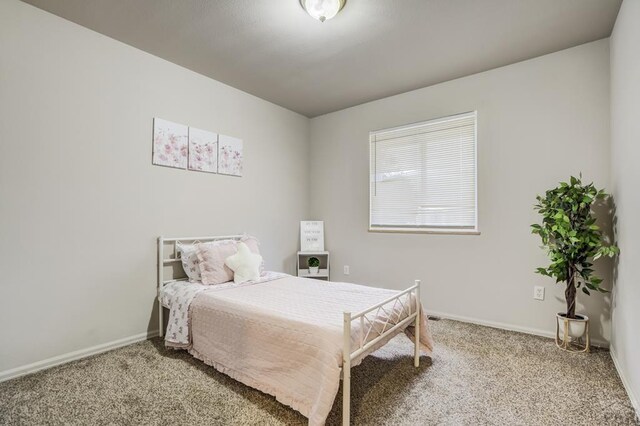 20 W Bonanza Dr, Pueblo West, CO 81007 - photo 23