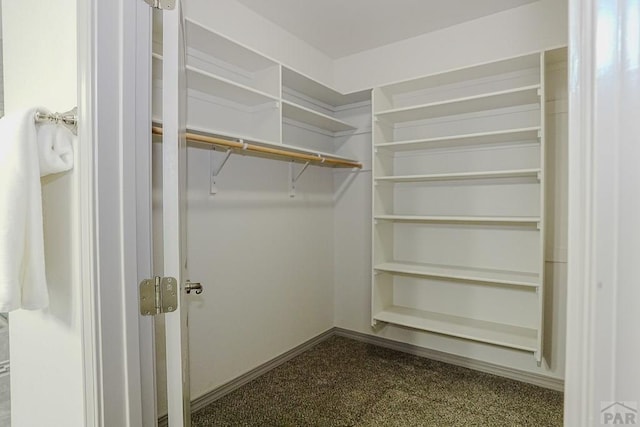 2221 Cliffmoor Ln, Pueblo, CO 81008 - view of walk in closet
