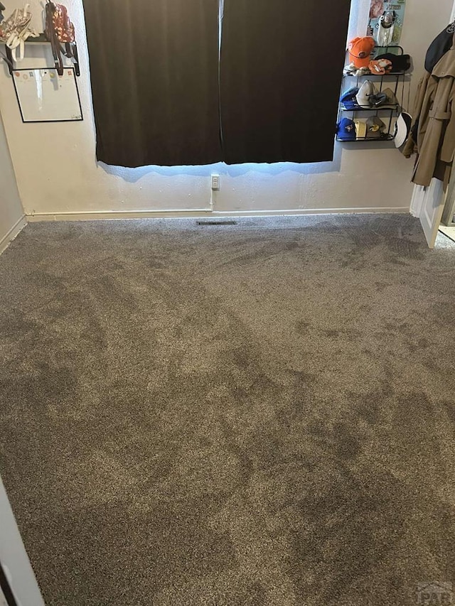 900 Van Buren St, Pueblo, CO 81004 - detailed view of carpet floors and baseboards