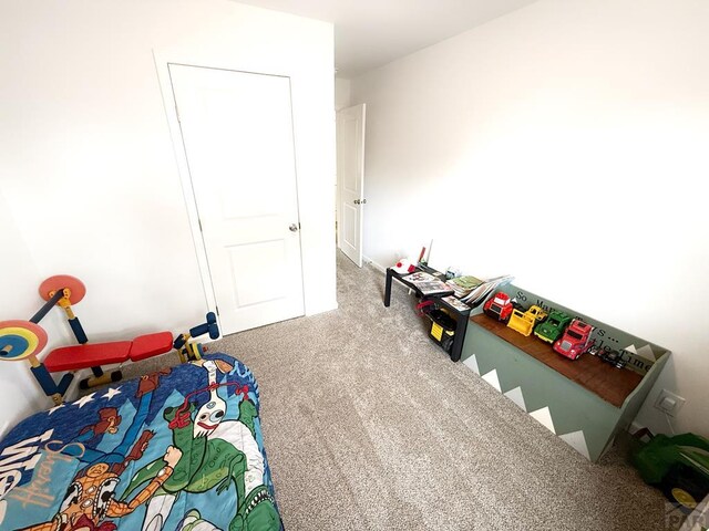 113 E Homer Dr, Pueblo West, CO 81007 - photo 26
