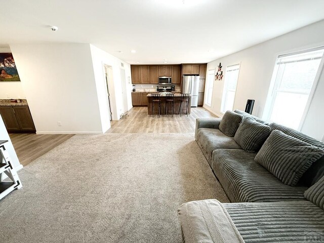 113 E Homer Dr, Pueblo West, CO 81007 - photo 20
