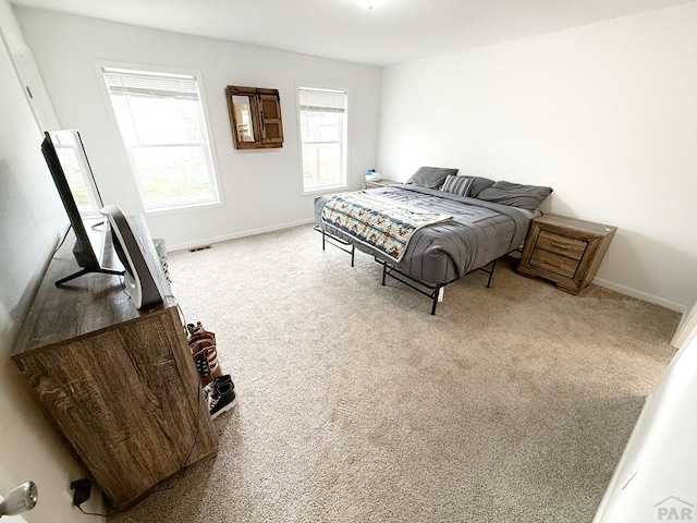 113 E Homer Dr, Pueblo West, CO 81007 - photo 10