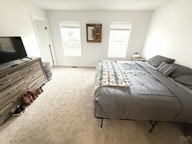 113 E Homer Dr, Pueblo West, CO 81007 - photo 11