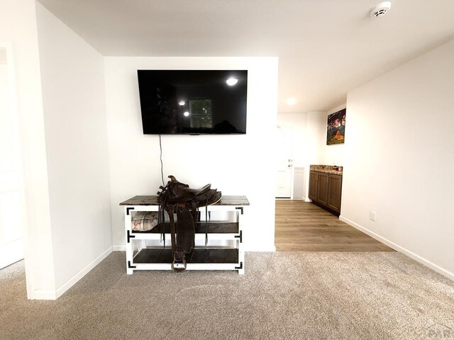 113 E Homer Dr, Pueblo West, CO 81007 - photo 39